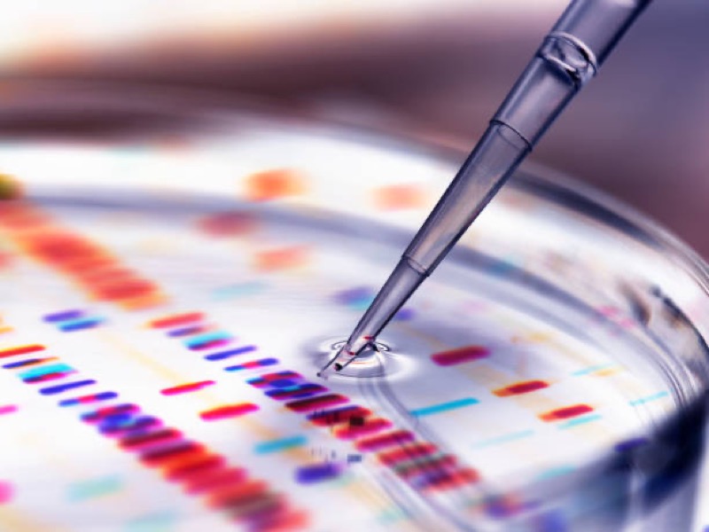Healthcare & Life Sciences